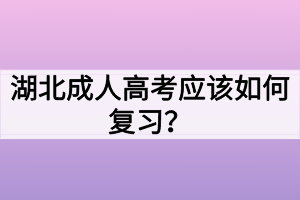 湖北成人高考應(yīng)該如何復(fù)習(xí)？