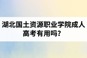 湖北國(guó)土資源職業(yè)學(xué)院成人高考有用嗎？學(xué)習(xí)采取的是什么方式？