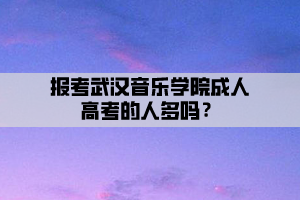 報(bào)考武漢音樂學(xué)院成人高考的人多嗎？