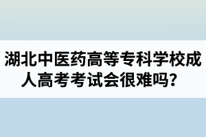 湖北中醫(yī)藥高等?？茖W(xué)校成人高考考試會(huì)很難嗎？壓力會(huì)不會(huì)很大？