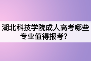 湖北科技學(xué)院成人高考哪些專(zhuān)業(yè)值得報(bào)考？