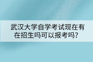 武漢大學(xué)自學(xué)考試現(xiàn)在有在招生嗎可以報考嗎？