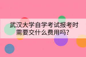 武漢大學(xué)自學(xué)考試報(bào)考時(shí)需要交什么費(fèi)用嗎？