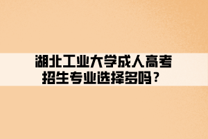 湖北工業(yè)大學(xué)成人高考招生專業(yè)選擇多嗎？