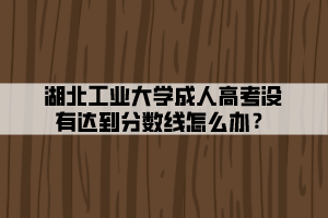 湖北工業(yè)大學成人高考沒有達到分數(shù)線怎么辦？