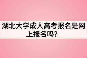 湖北大學(xué)成人高考報(bào)名是網(wǎng)上報(bào)名嗎？