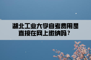 湖北工業(yè)大學(xué)自考費(fèi)用是直接在網(wǎng)上繳納嗎？