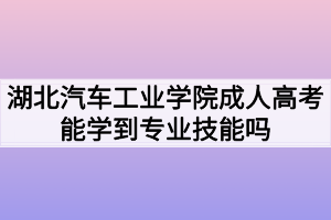 湖北汽車工業(yè)學(xué)院成人高考能學(xué)到專業(yè)技能嗎？