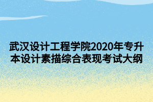 武漢設(shè)計工程學(xué)院2020年專升本設(shè)計素描綜合表現(xiàn)考試大綱