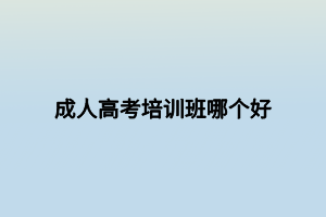 成人高考培訓(xùn)班哪個好