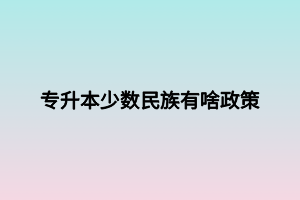 專升本少數(shù)民族有啥政策