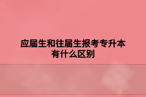 應屆生和往屆生報考專升本有什么區(qū)別