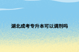 湖北成考專升本可以調劑嗎