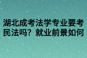 湖北成考法學專業(yè)要考民法嗎？就業(yè)前景如何