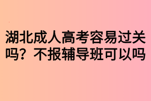 湖北成人高考容易過關(guān)嗎？不報輔導(dǎo)班可以嗎