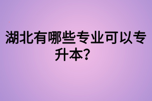 湖北有哪些專業(yè)可以專升本？