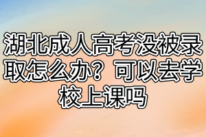 湖北成人高考沒被錄取怎么辦？可以去學校上課嗎