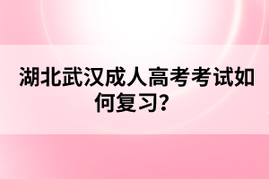 湖北武漢成人高考考試如何復習？