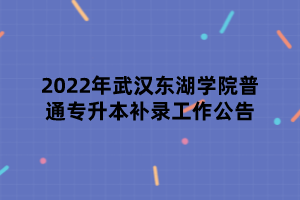 2022年武漢東湖學(xué)院普通專升本補(bǔ)錄工作公告