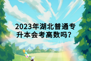 2023年湖北普通專升本會考高數(shù)嗎？